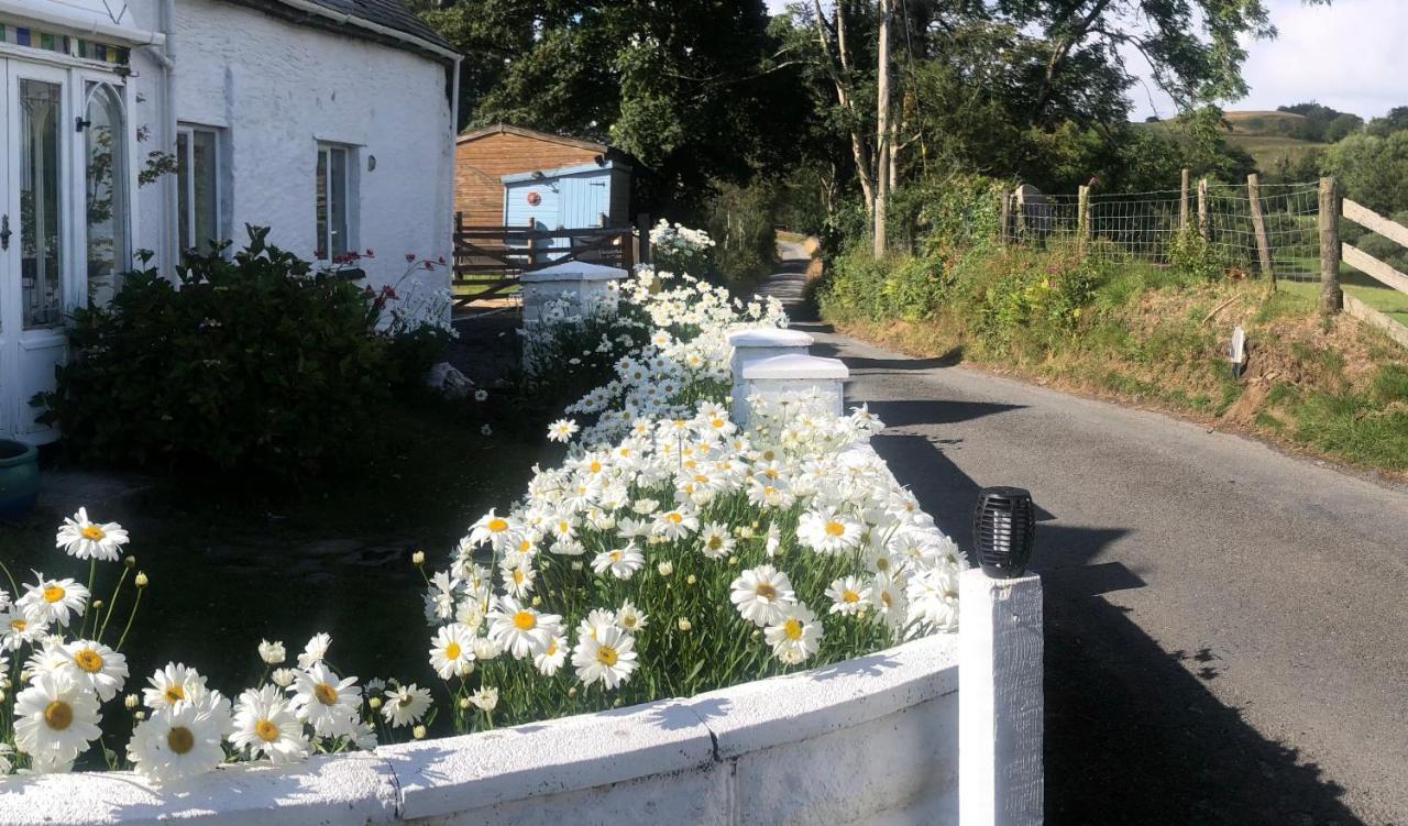 Lake View Romantic Retreat Aberystwyth Exterior foto